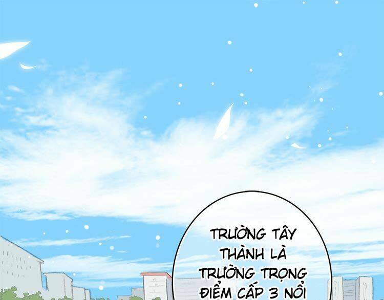 con tim rung động 3 chapter 15 73