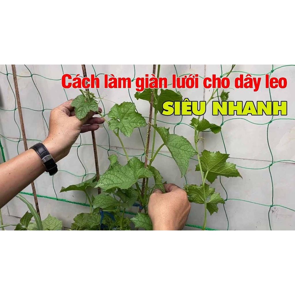 LƯỚI LÀM GIÀN LEO CHO CÂY KHỔ 3.6MX1.8M