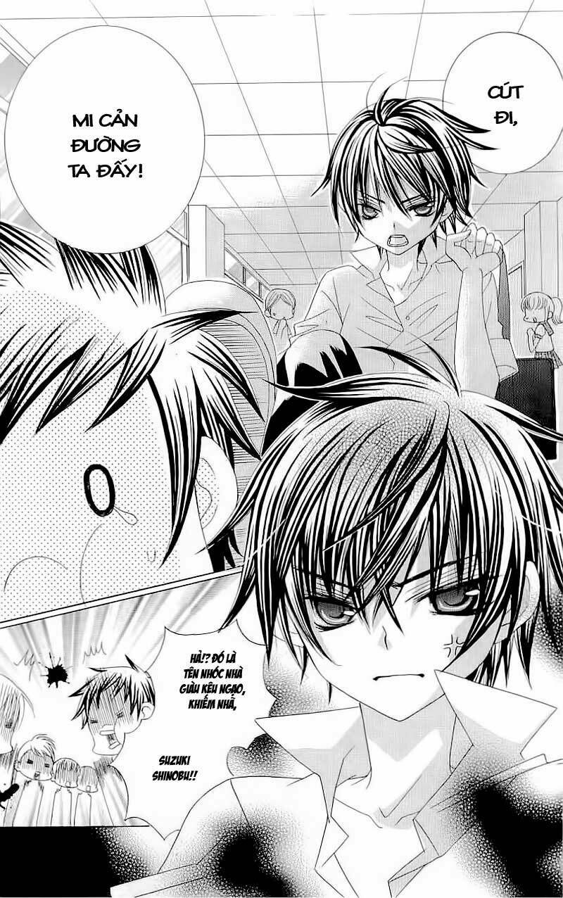 suki desu suzuki-kun!! chapter 11 7