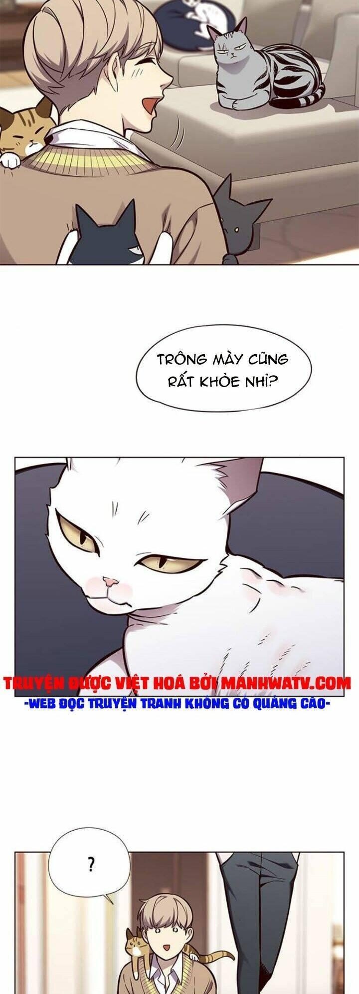 biến thân thành mèo chapter 143 15