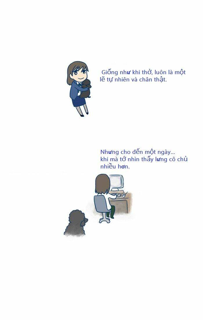 my kitty and old dog chapter 2 4