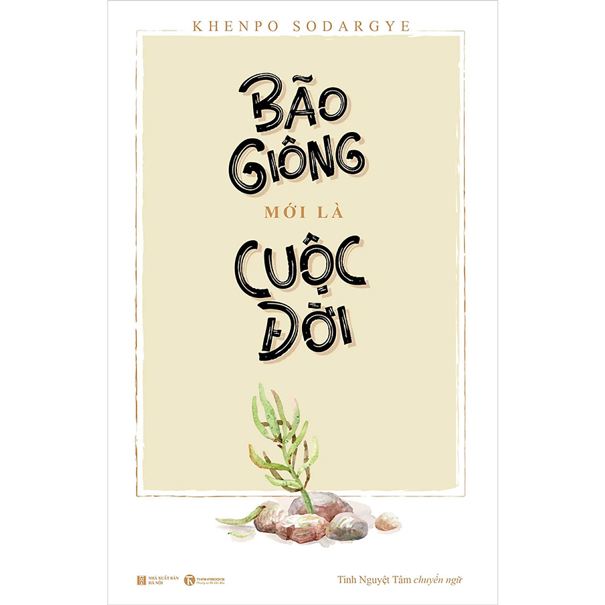 Combo Bão Giông Mới Là Cuộc Đời Và Tàn Khốc Mới Là Thanh Xuân