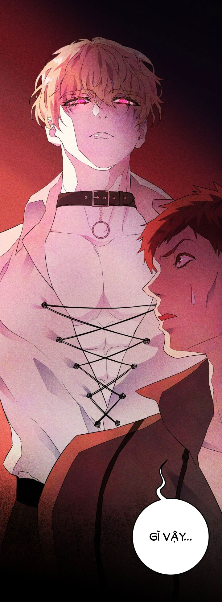 [18+] nếu cứu rỗi một cầm thú hư hỏng chapter 2.2 13