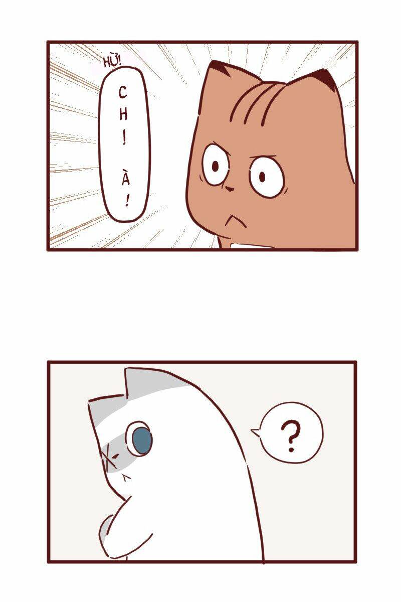 saphie: chú mèo một mắt chapter 24 2