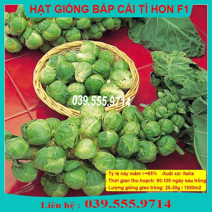 Hạt Giống Cải Bắp Mini Xanh