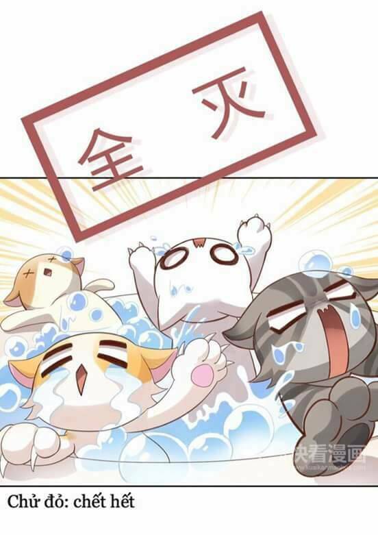 dưới móng vuốt mèo chapter 1 30