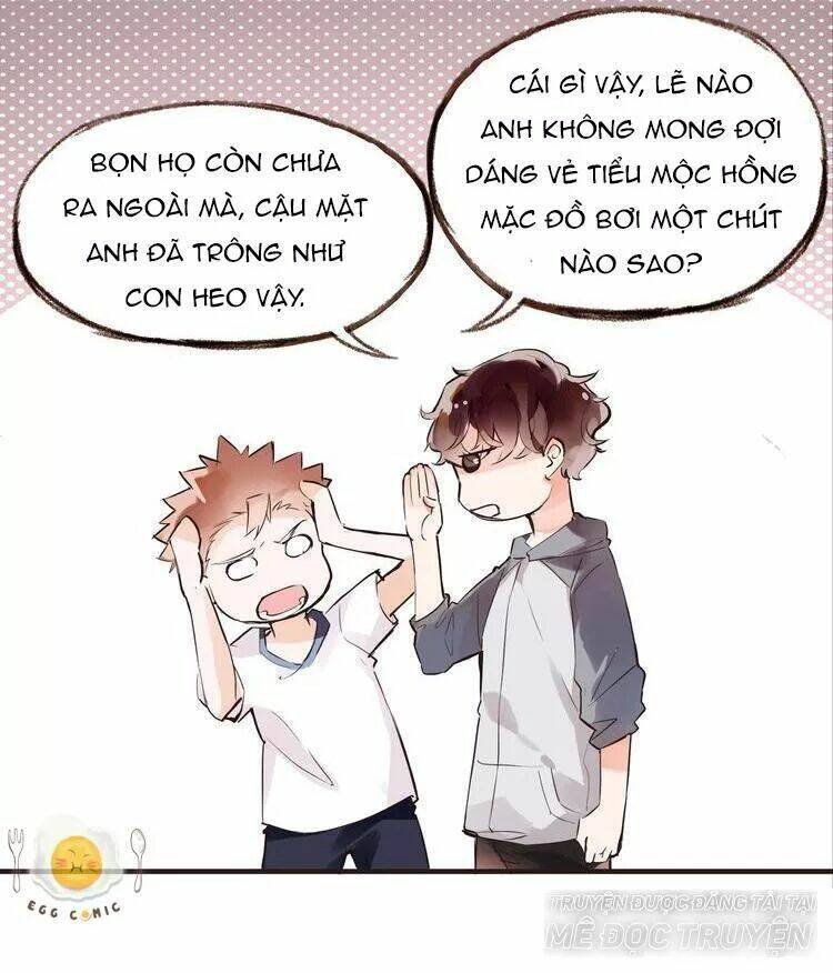 nở rộ trên bụi gai chapter 43 6