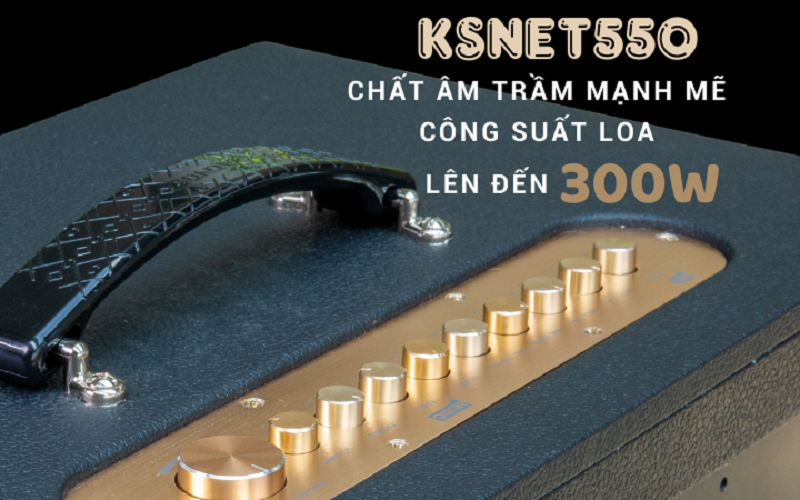Dàn âm thanh di động xách tay ACNOS KSNET550