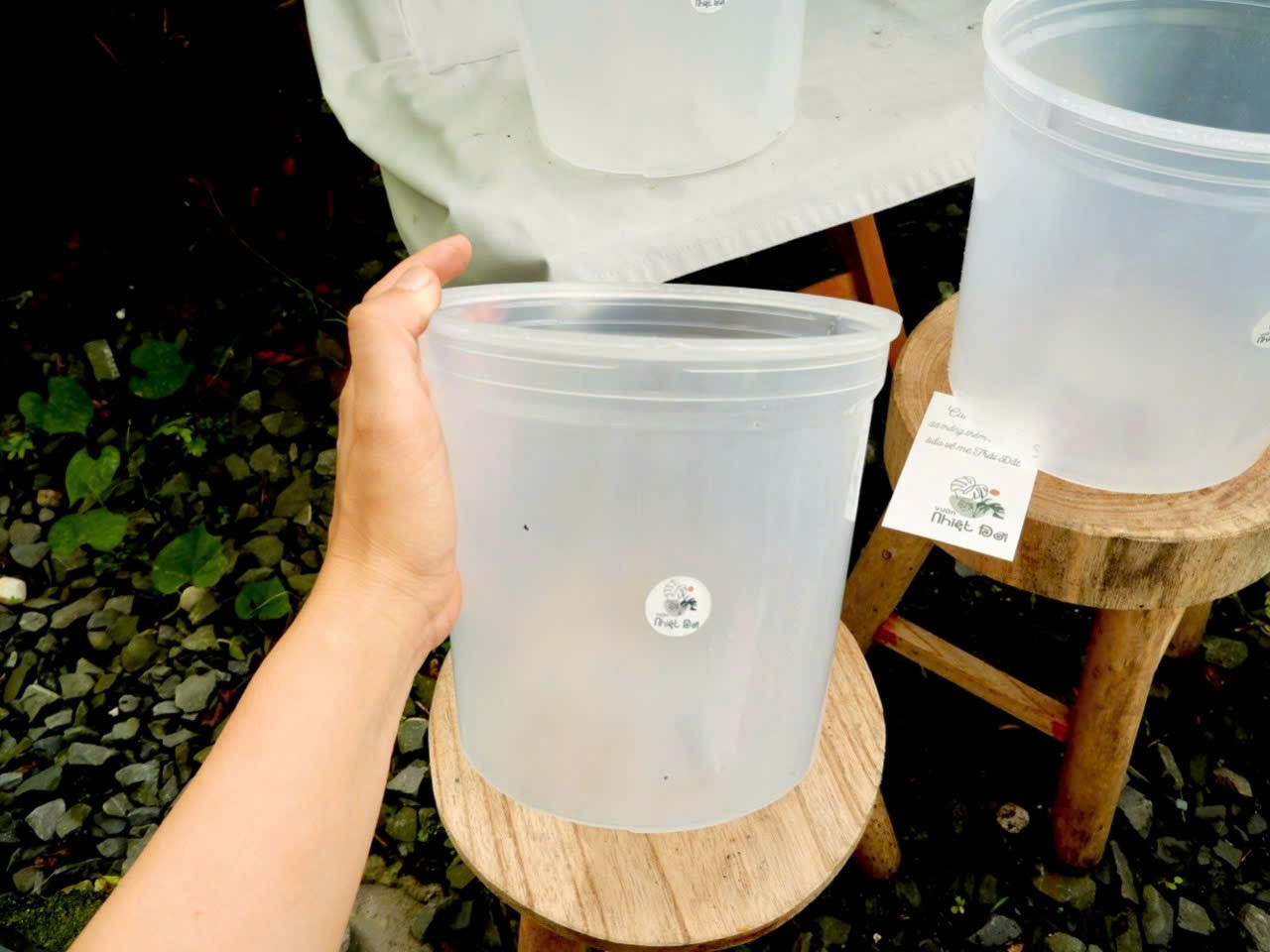 Chậu nhựa trắng trong 18x16cm, thoát nước tốt, chống bể vỡ, dễ lắp trụ rêu trồng cây.