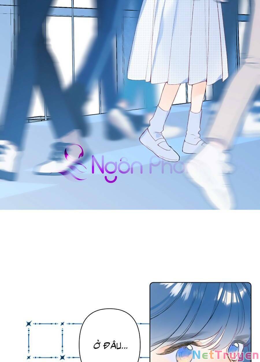 đừng khóc chapter 95 37
