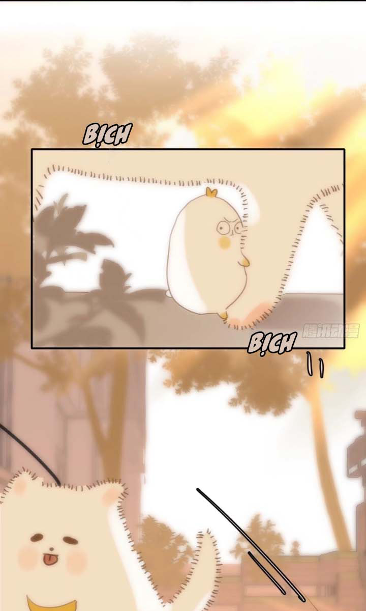 đêm đầy sao nói với em chapter 34 51