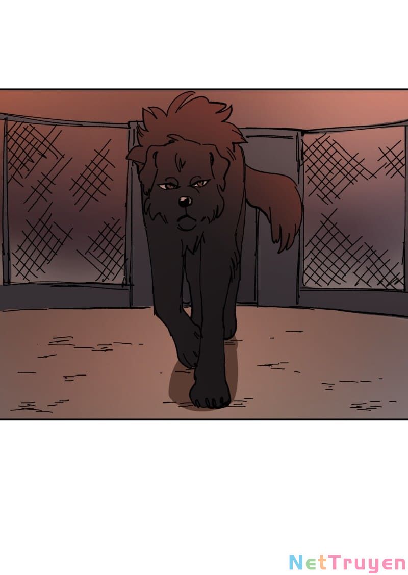 lumine - cội nguồn ánh sáng chapter 113 36