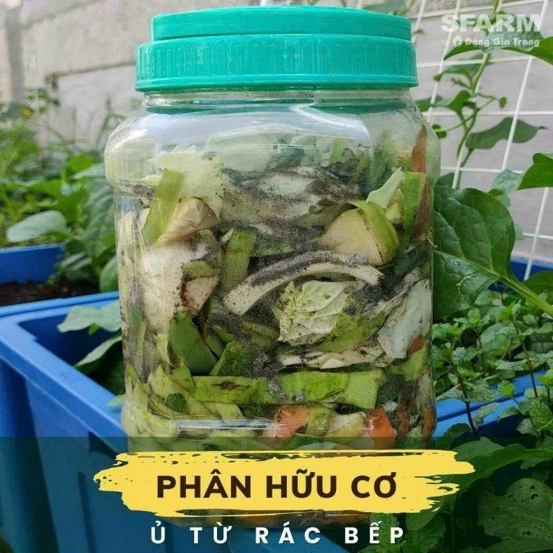 Bộ đôi ủ rác thành phân hữu cơ từ chế phẩm EM plus Trichoderma và mật rỉ đường Sfarm