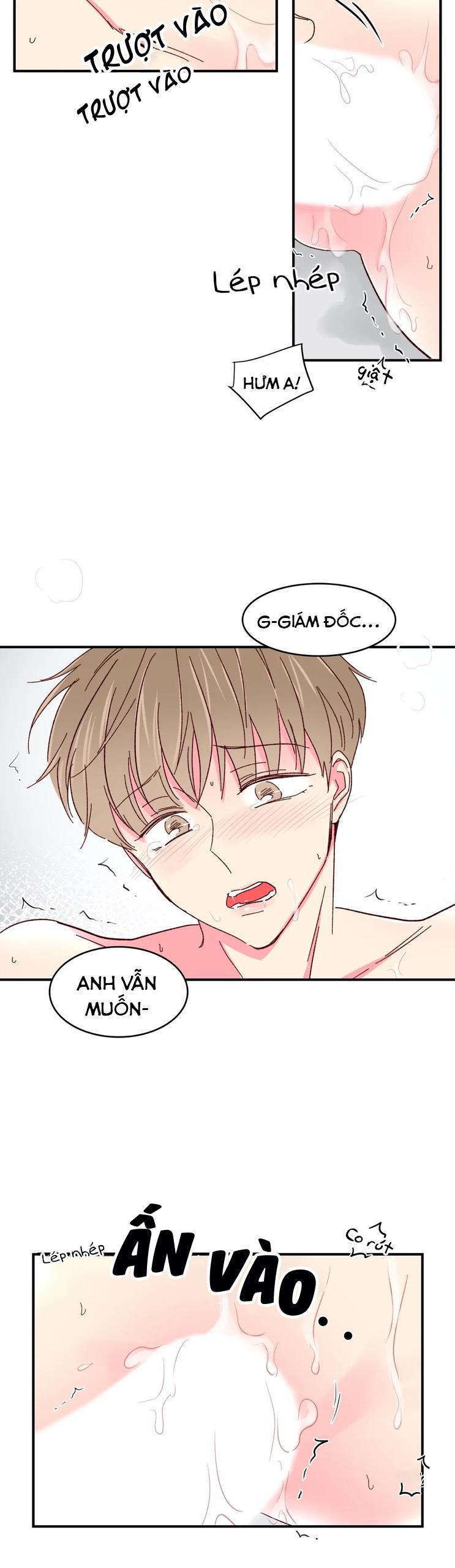 món tráng miệng của sếp tổng chapter 49 17