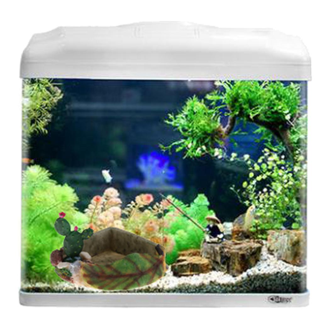 Reptile Food Water Dish Vivarium Decoration