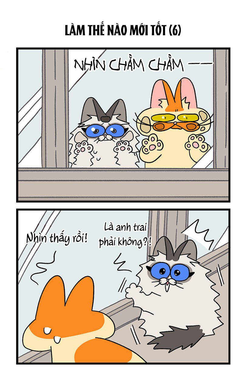 a mãn và mạch trà chapter 39.1 5