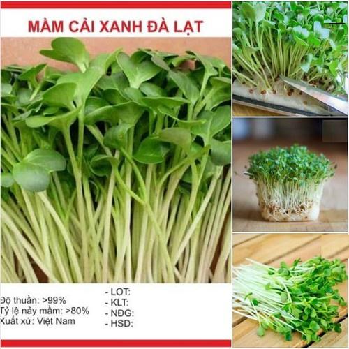 Hạt giống Mầm cải xanh Đà Lạt  - 1 gói 50gr