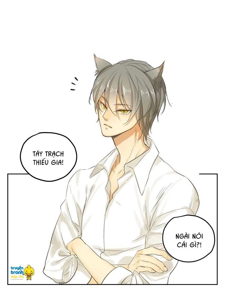 cứu mạng ! loài mèo thống trị thế giới rồi ! chapter 19 14