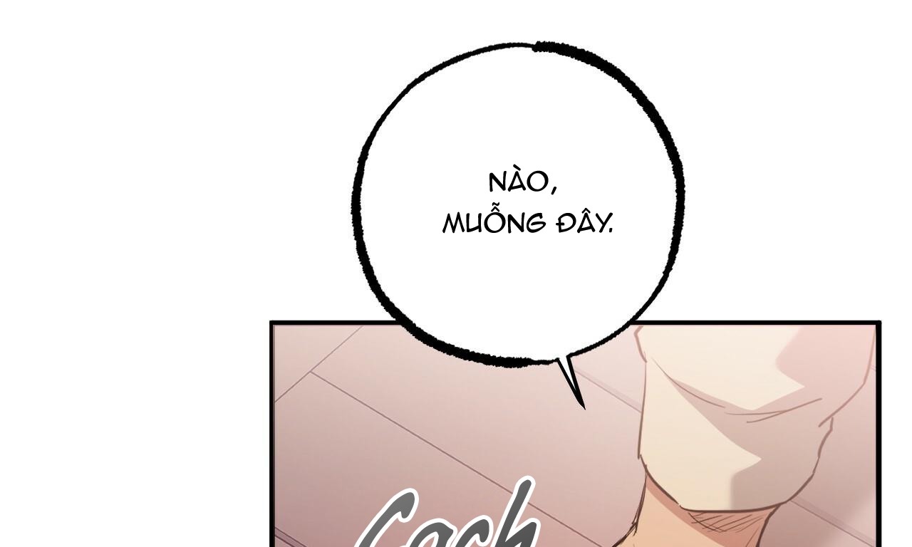 đàn thỏ của habibi chapter 37 185