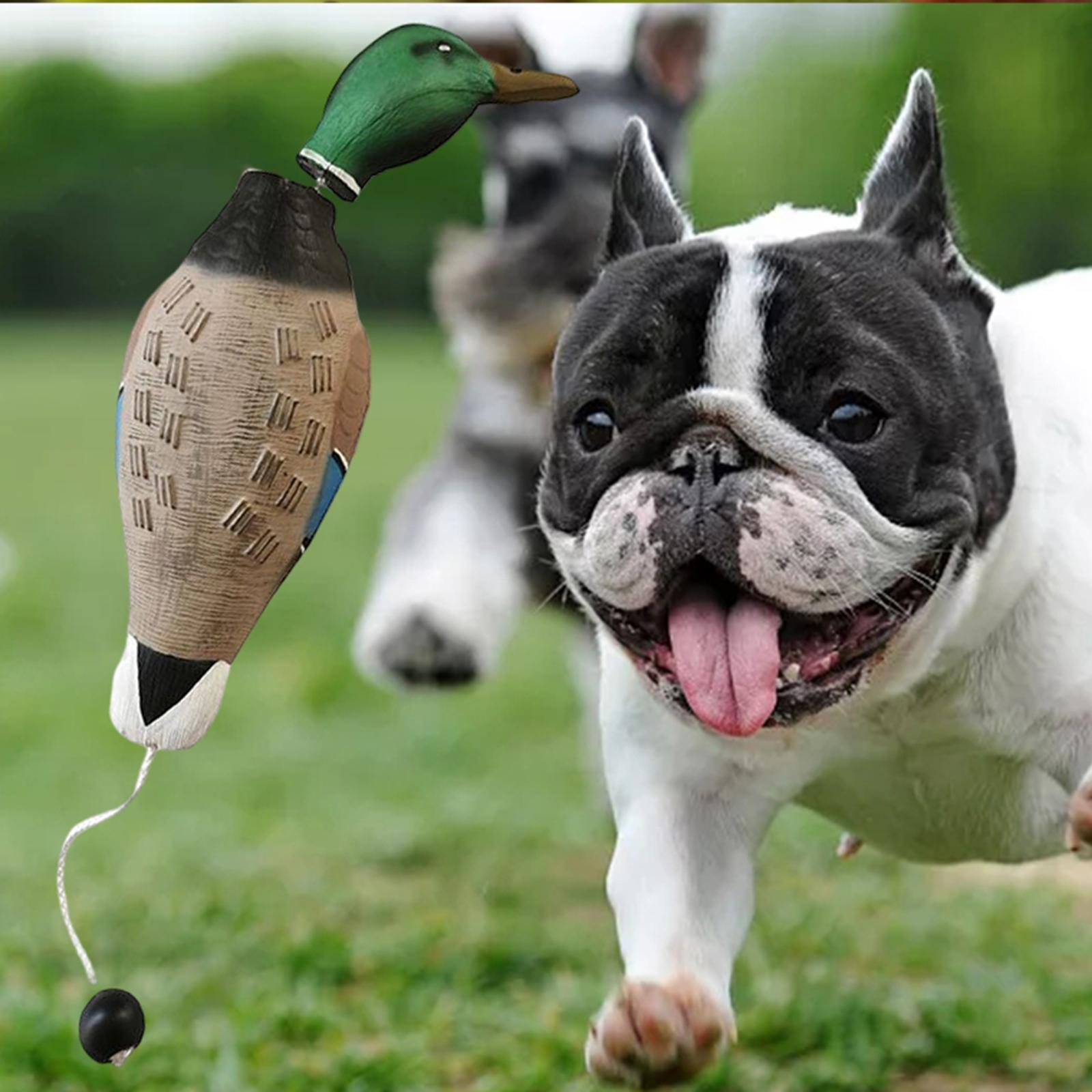 Mallard Duck Decoy Outdoor Scarecrow Hunting Decoy Hiking for Dog Chewing