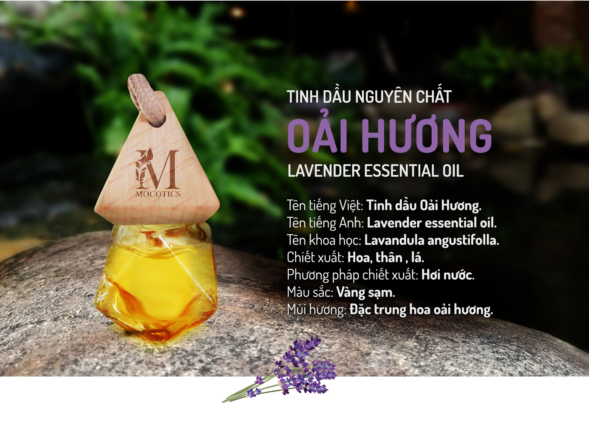 Tinh Dầu Oải Hương (Lavender) Treo Xe Ô tô MOCOTICS, Treo Tủ Quần Áo, Giúp Khử Mùi, Thơm Phòng, Chống Say Xe Hiệu Quả