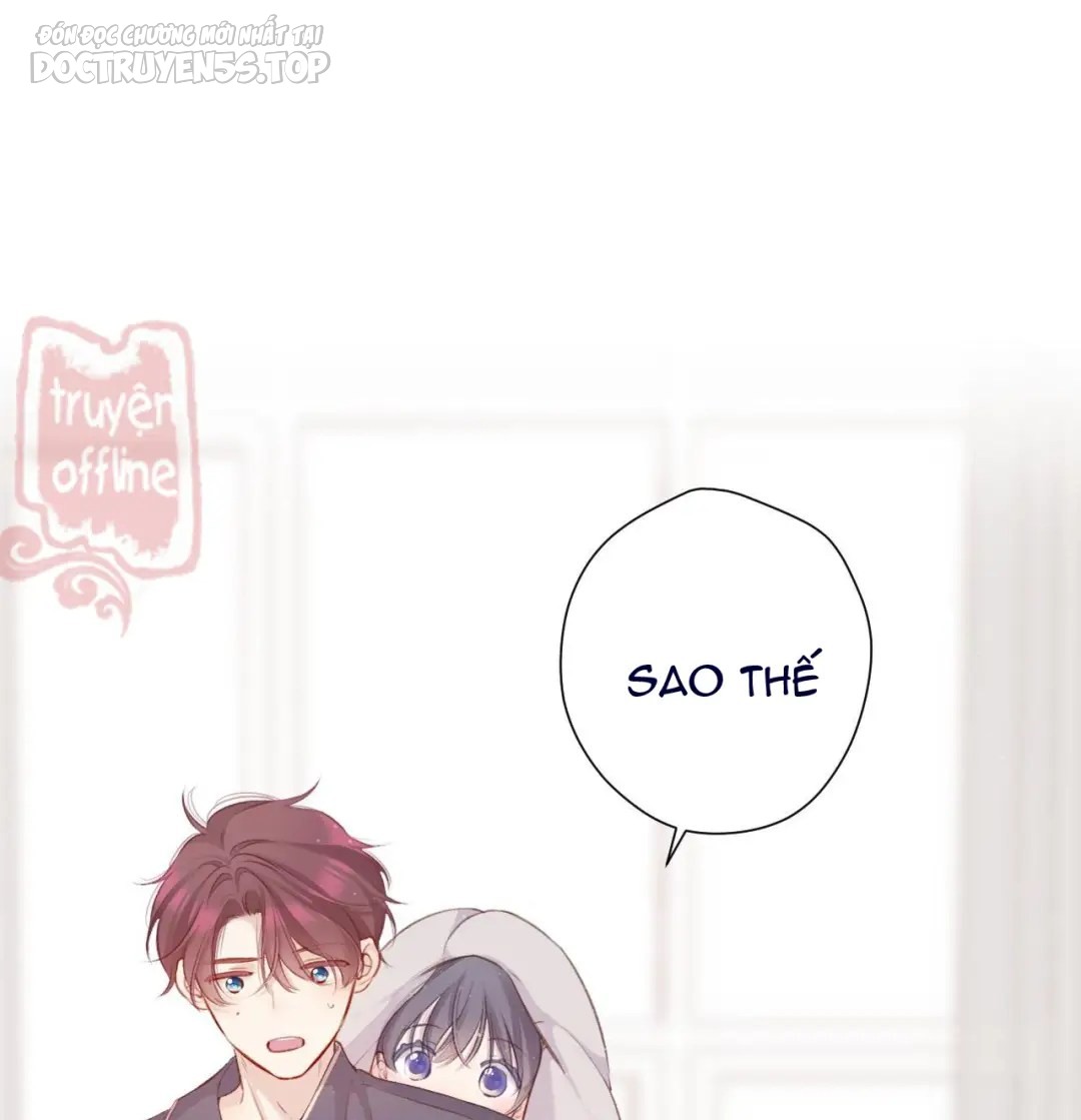 bảo vệ siêu sao của tôi chapter 154 11