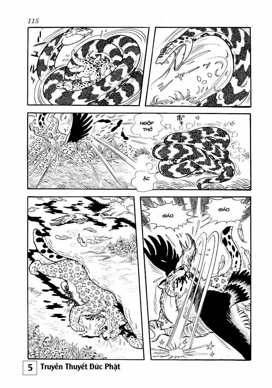 buddha - truyền thuyết đức phật chapter 25.1 6