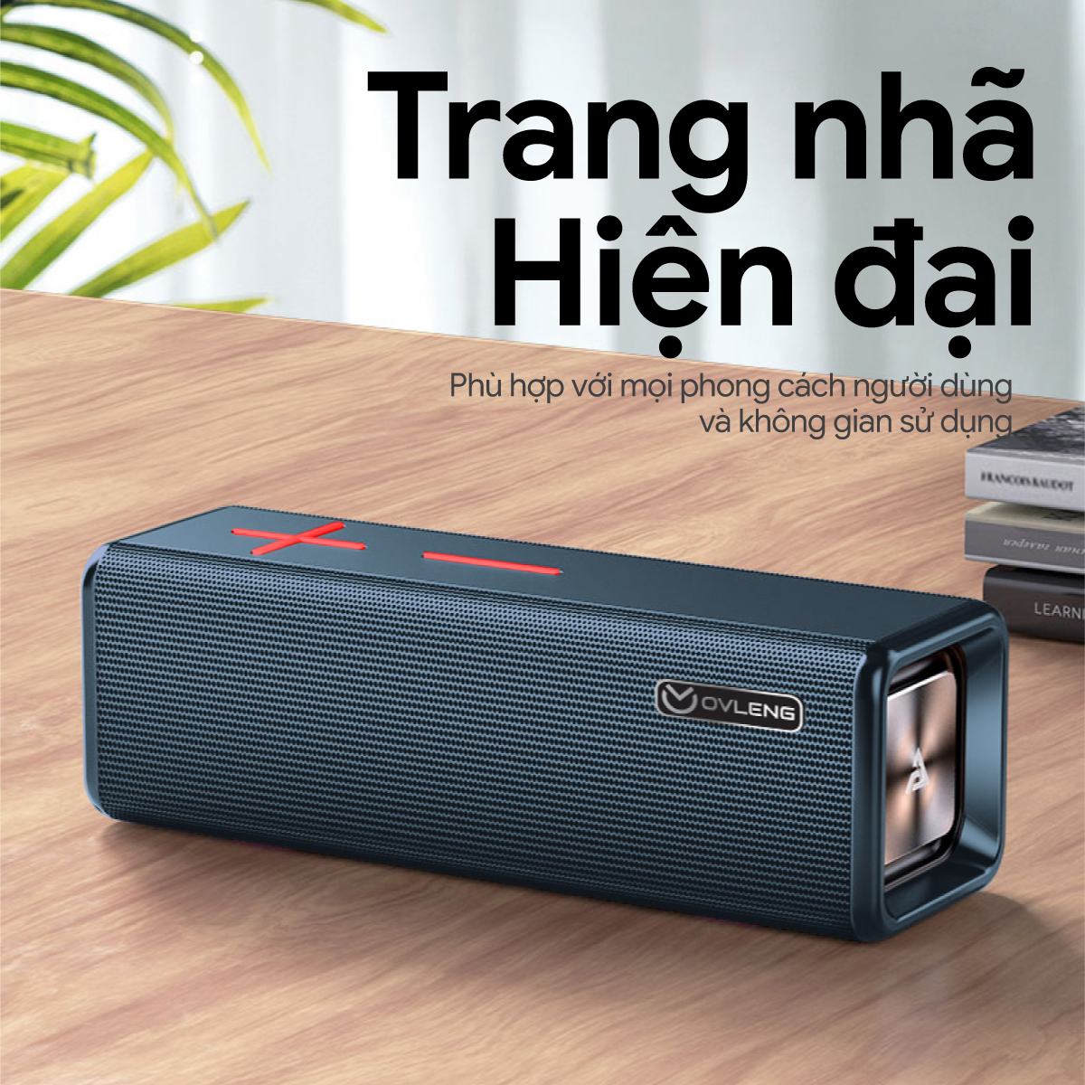 Loa Bluetooth OVLENG V13 - Loa Kép, Sạc Type C, Bluetooth 5.0, Pin 2000mah - Hàng Chính Hãng