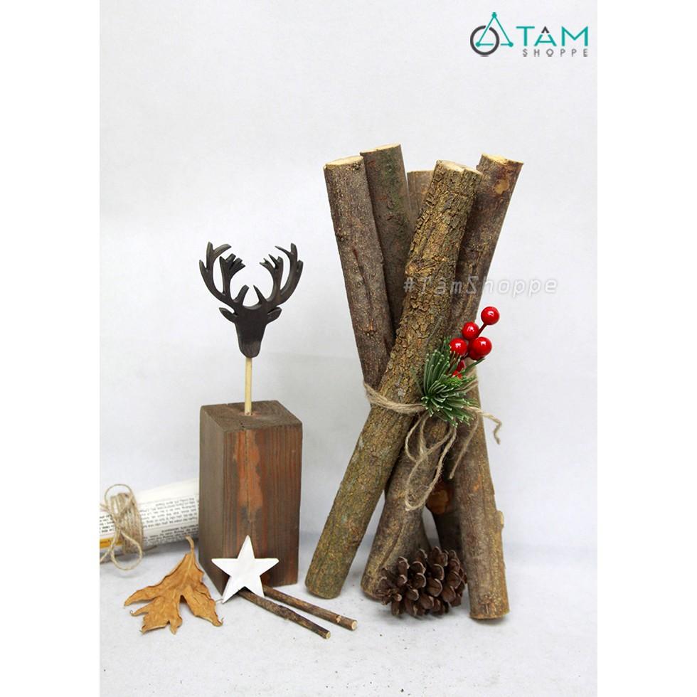 COMBO 2 Khúc củi khô trang trí ĐK 5-7cm dài 40cm ngẫu nhiên W-CUI-06