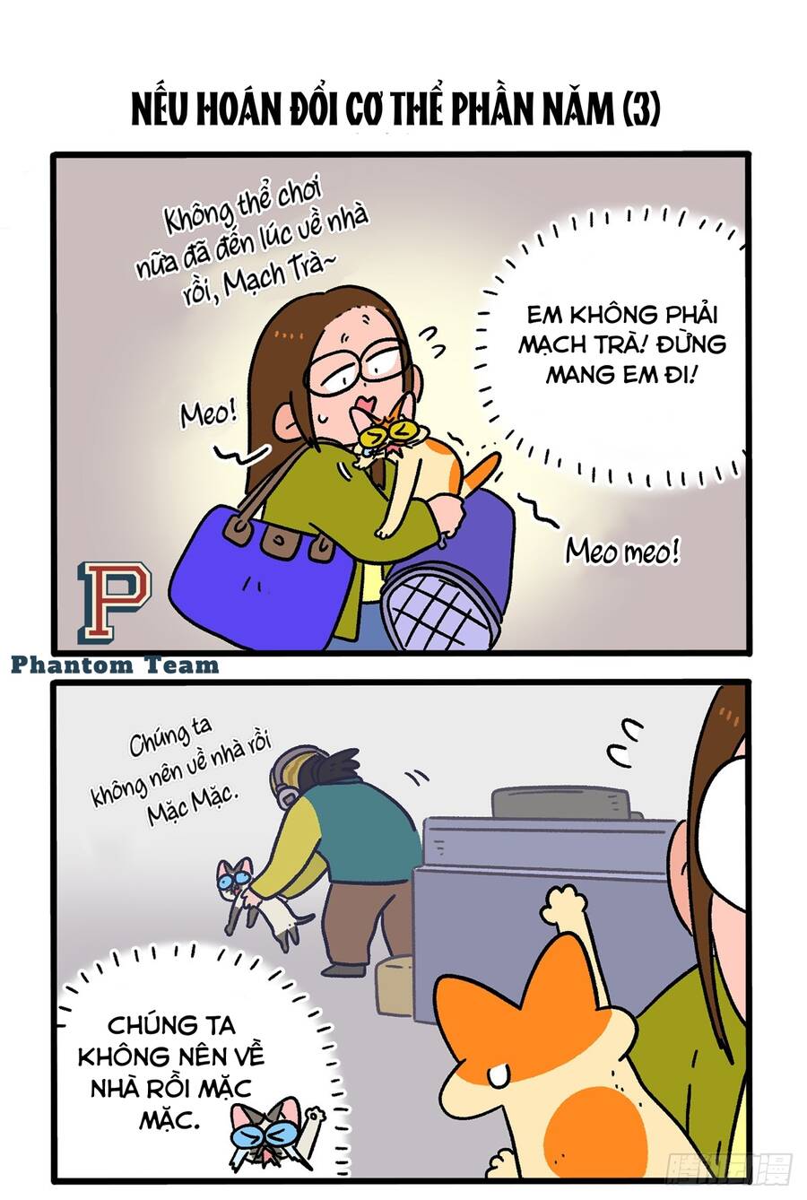 a mãn và mạch trà chapter 154 5