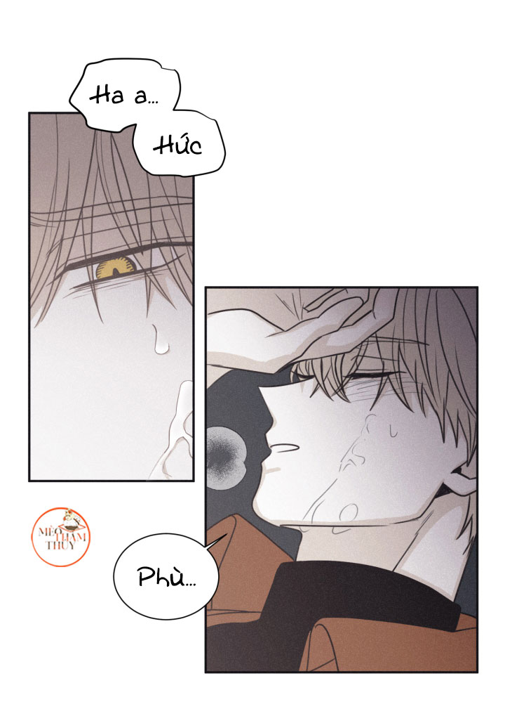 chiếu tướng chapter 77 49