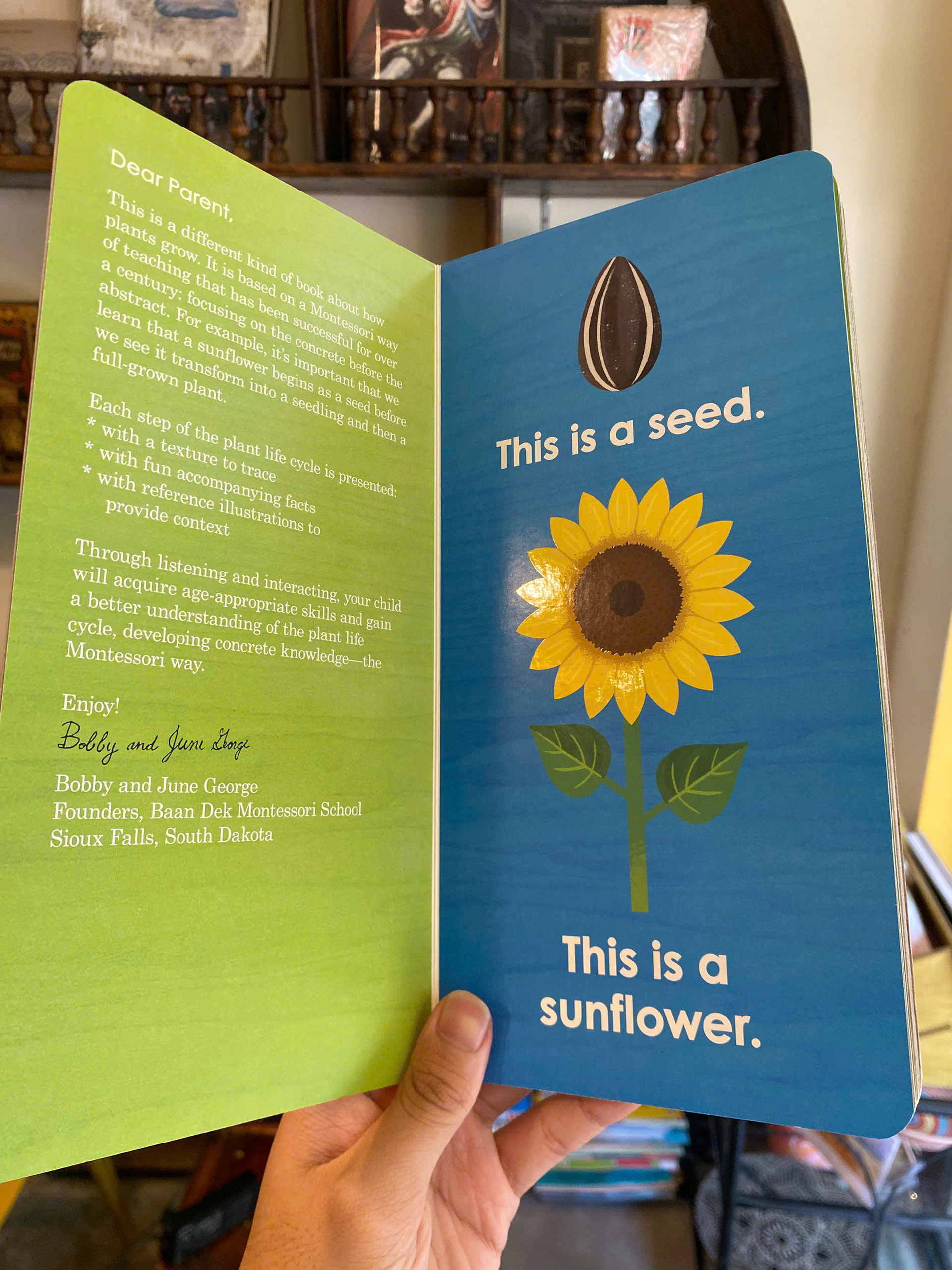 Sách - Seed Work: Learn About Plants The Montessori Way by Bobby George | Children's Picture Book
