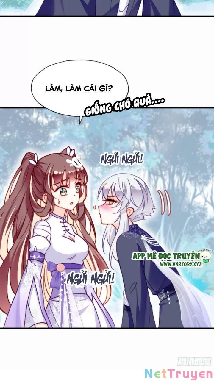 lại bị bệnh chiều chuộng quấn lấy chapter 19 5