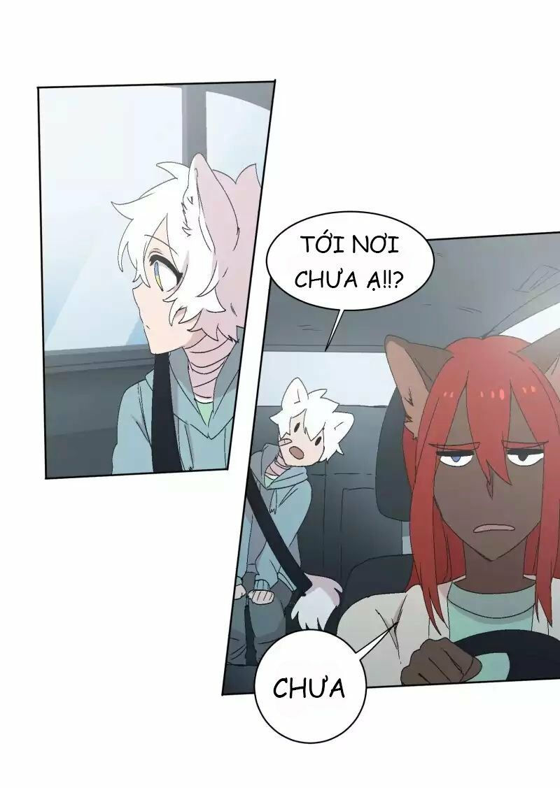 lumine - cội nguồn ánh sáng chapter 30 15