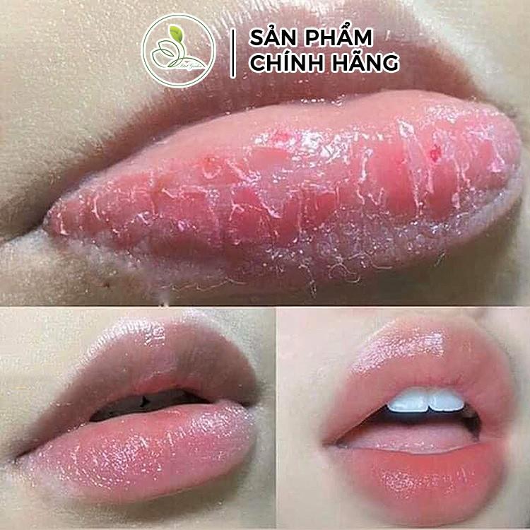 Son Dưỡng Môi Mini Garden Lip Balm PV989