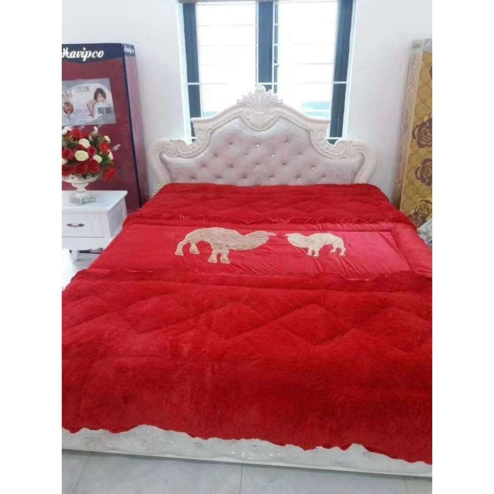 CHĂN ĐẮP ĐẠI HÀN CHĂN LẠC ĐÀ CAO CẤP 4.5KG MÀU ĐỎ