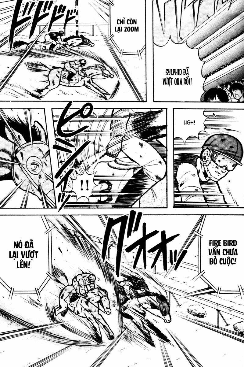 kaze no sylphid - phong mã silphid chapter 15 9