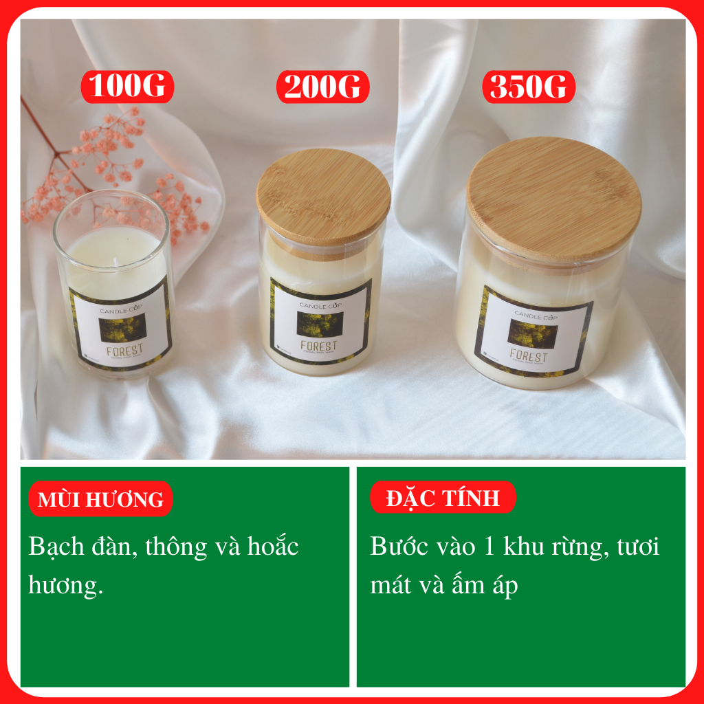 Nến thơm AGAYA (Candle Cup) mùi Forest - Nến thơm tinh dầu thiên nhiên mùi thơm tươi mát hương gỗ - Top 4 best sale