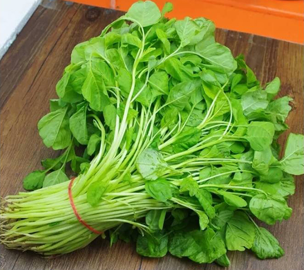 Hạt dền xanh lá tròn Phú Nông 20 gram - giống nẩy mầm cao chất lượng