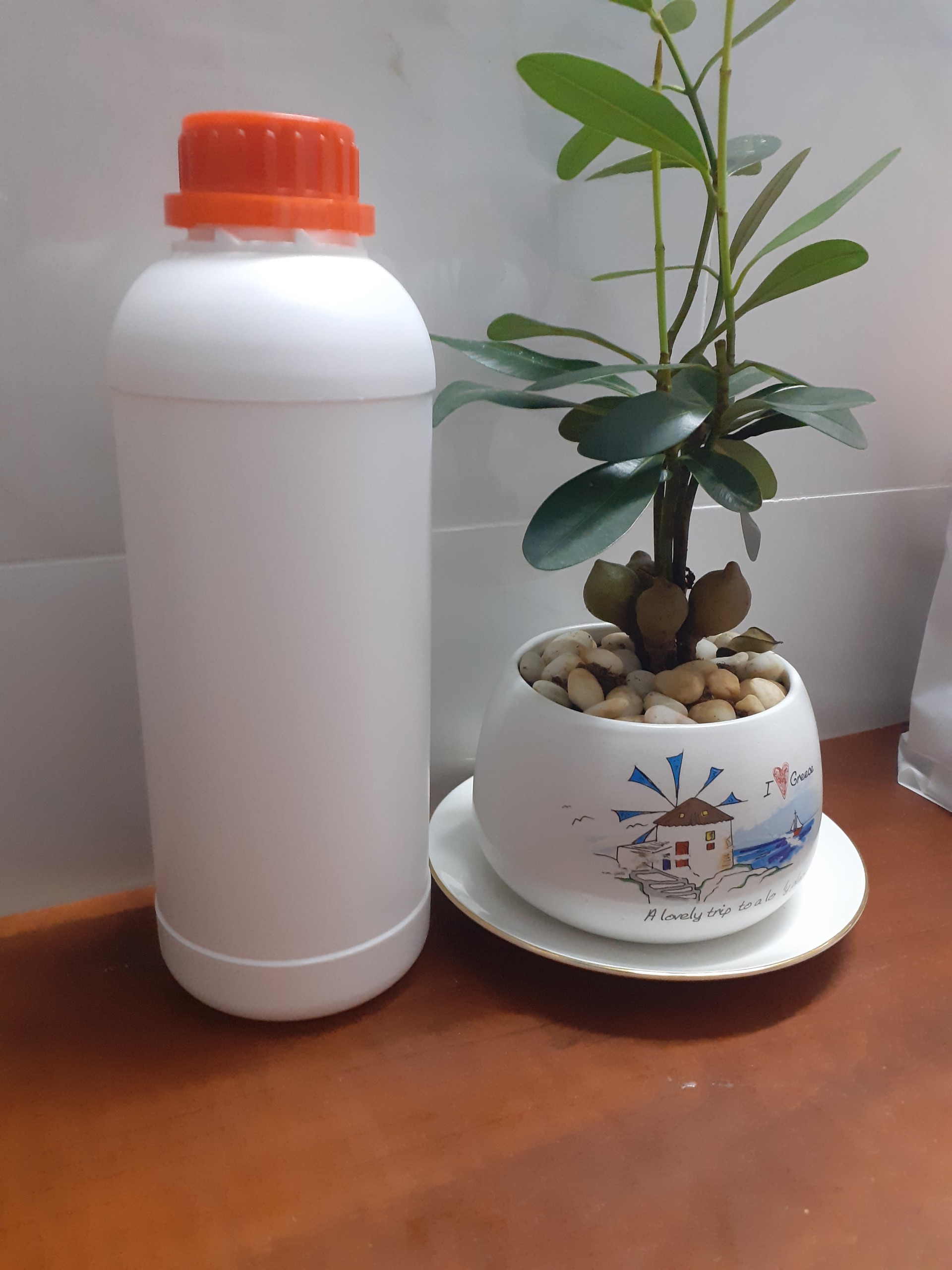 Chai 1 lít oxy già 50%