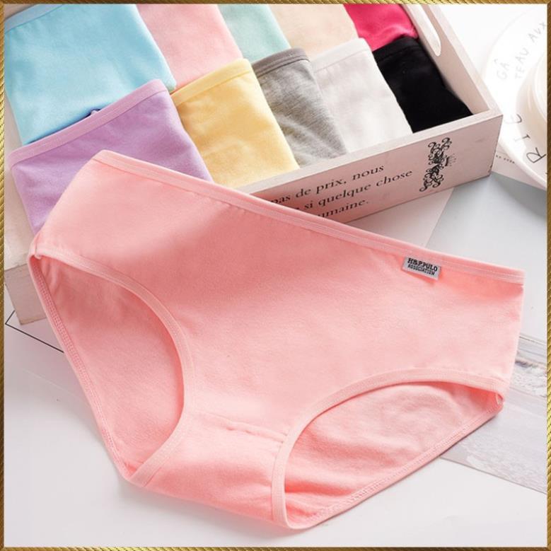 Combo 10 quần lót cotton chất đẹp