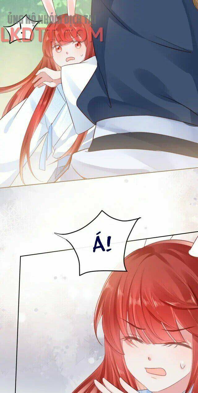 hắc hóa nam chính trực tuyến nuôi thỏ chapter 24 27