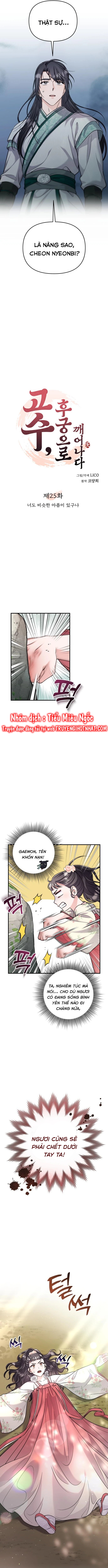 cao thủ chốn hậu cung chapter 49 5