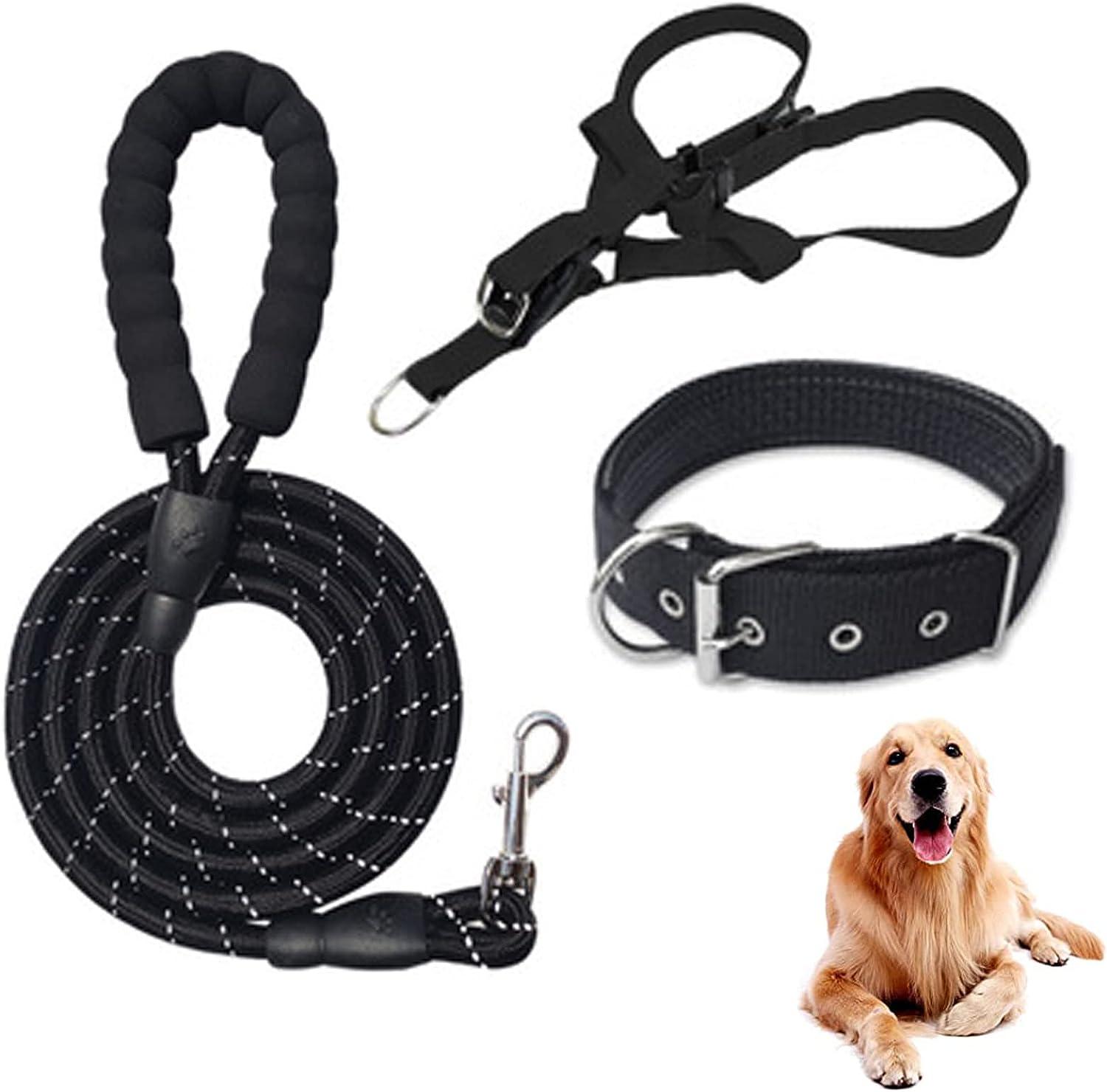 Cái Dây Xích Chó Phản Quang, Bộ Dây Đai và Vòng Cổ Cho Thú Cưng, Nylon