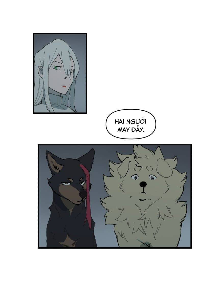 lumine - cội nguồn ánh sáng chapter 145 8