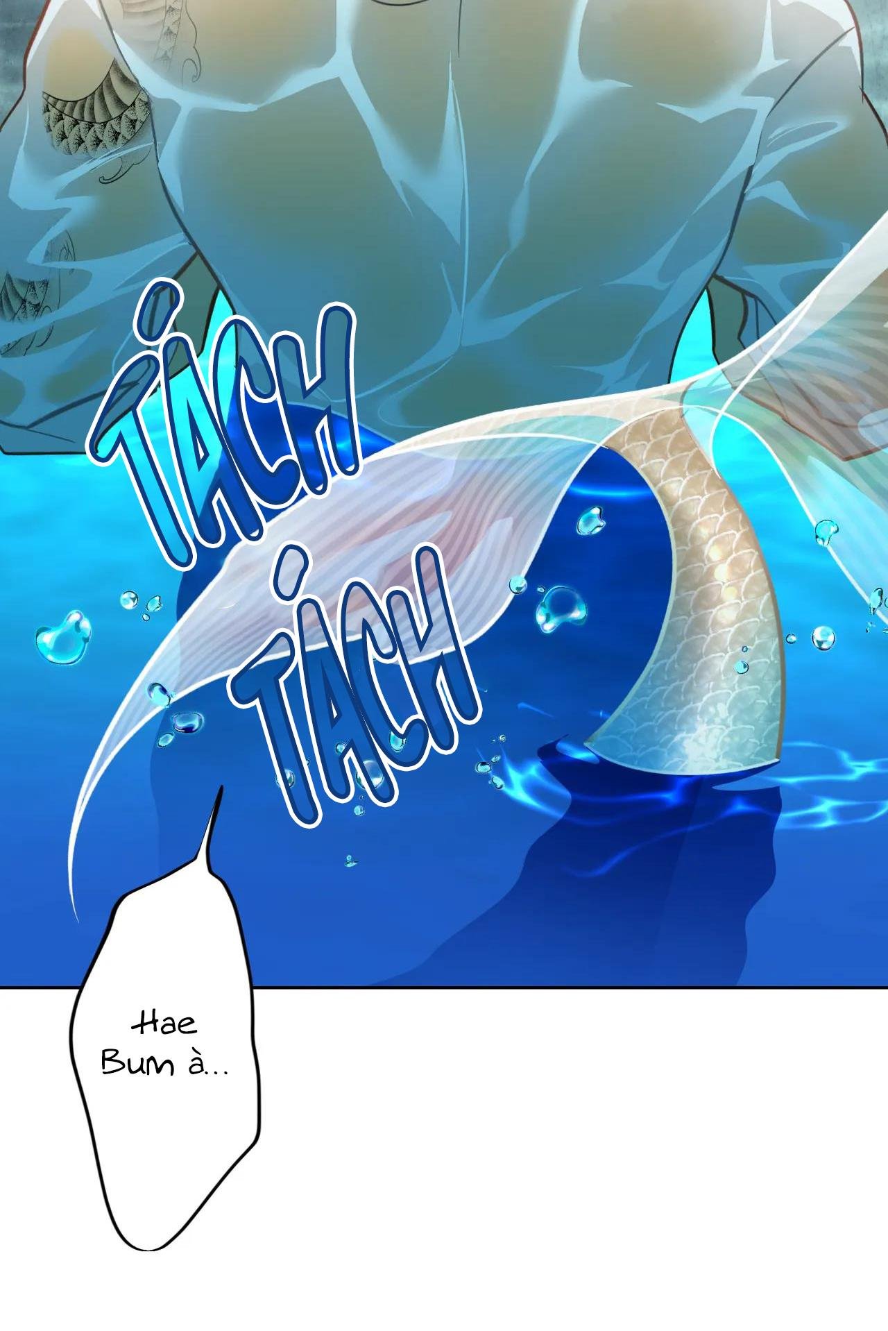 mỹ nhân ngư chapter 6 10