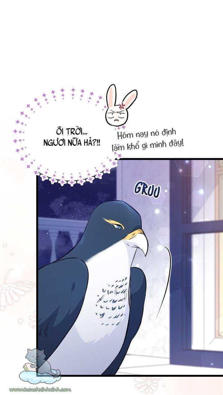 quan hệ cộng sinh giữa báo đen và thỏ trắng chapter 57 7