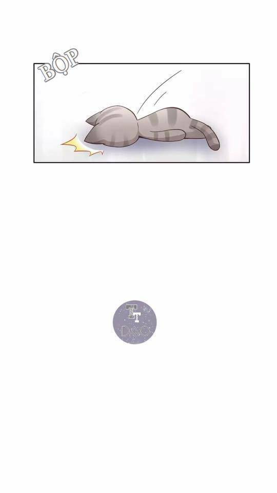 dưới móng vuốt mèo chapter 19 7