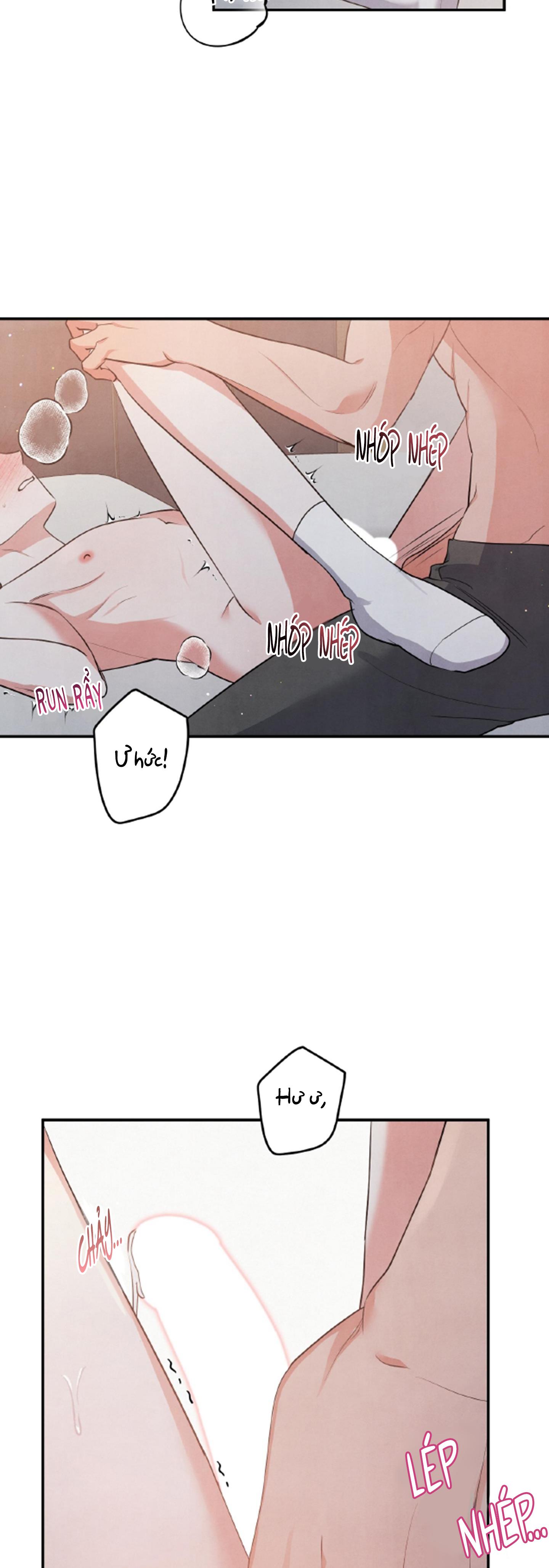 mối quan hệ ngu ngốc chapter 48 2