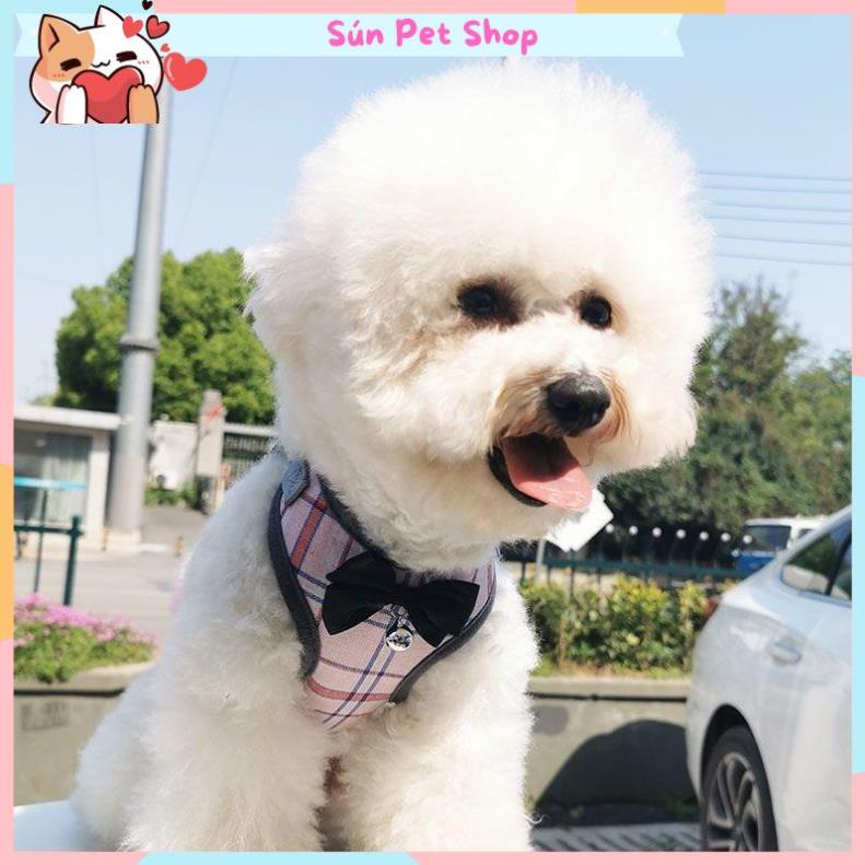 Dây dắt thú cưng kèm yếm